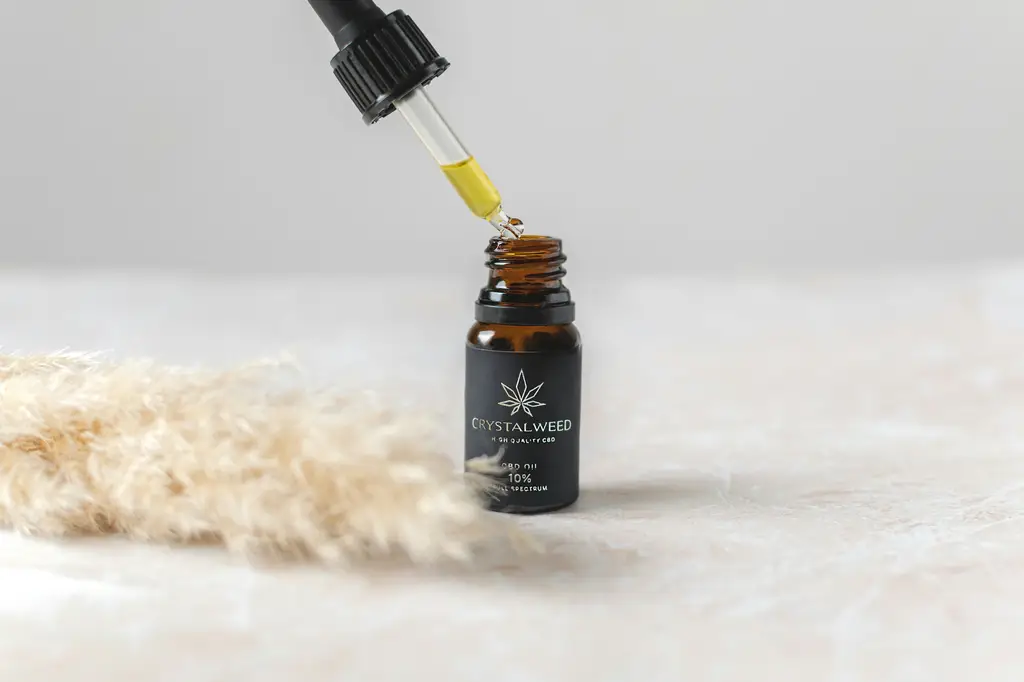 芳療是什麼?探索天然精油的療癒魔力