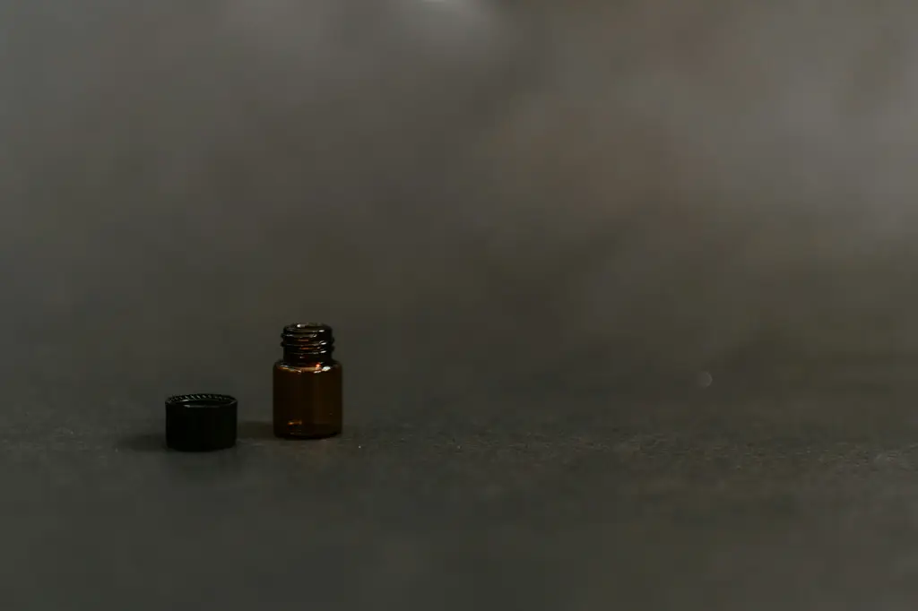 芳香療法有哪些?探索天然精油的療癒力量