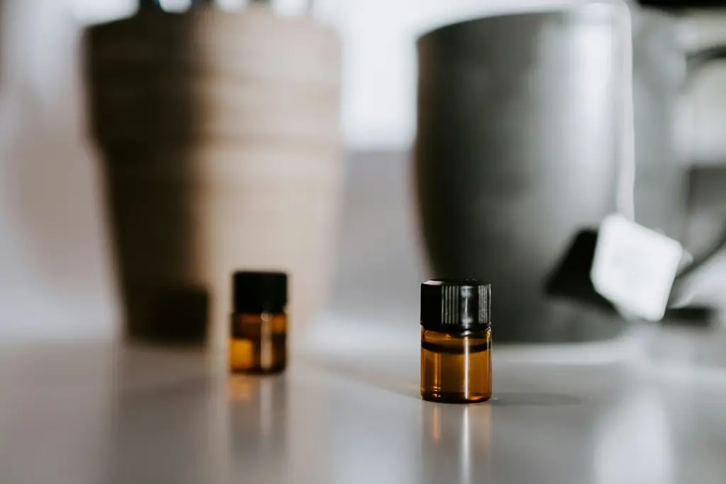 精油種類功效：全方位解析天然芳香療法的奧秘