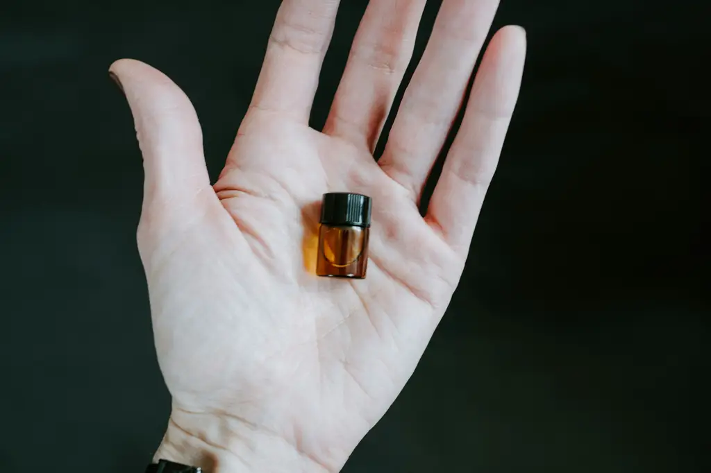 精油真的有功效嗎？揭開芳香療法的神秘面紗